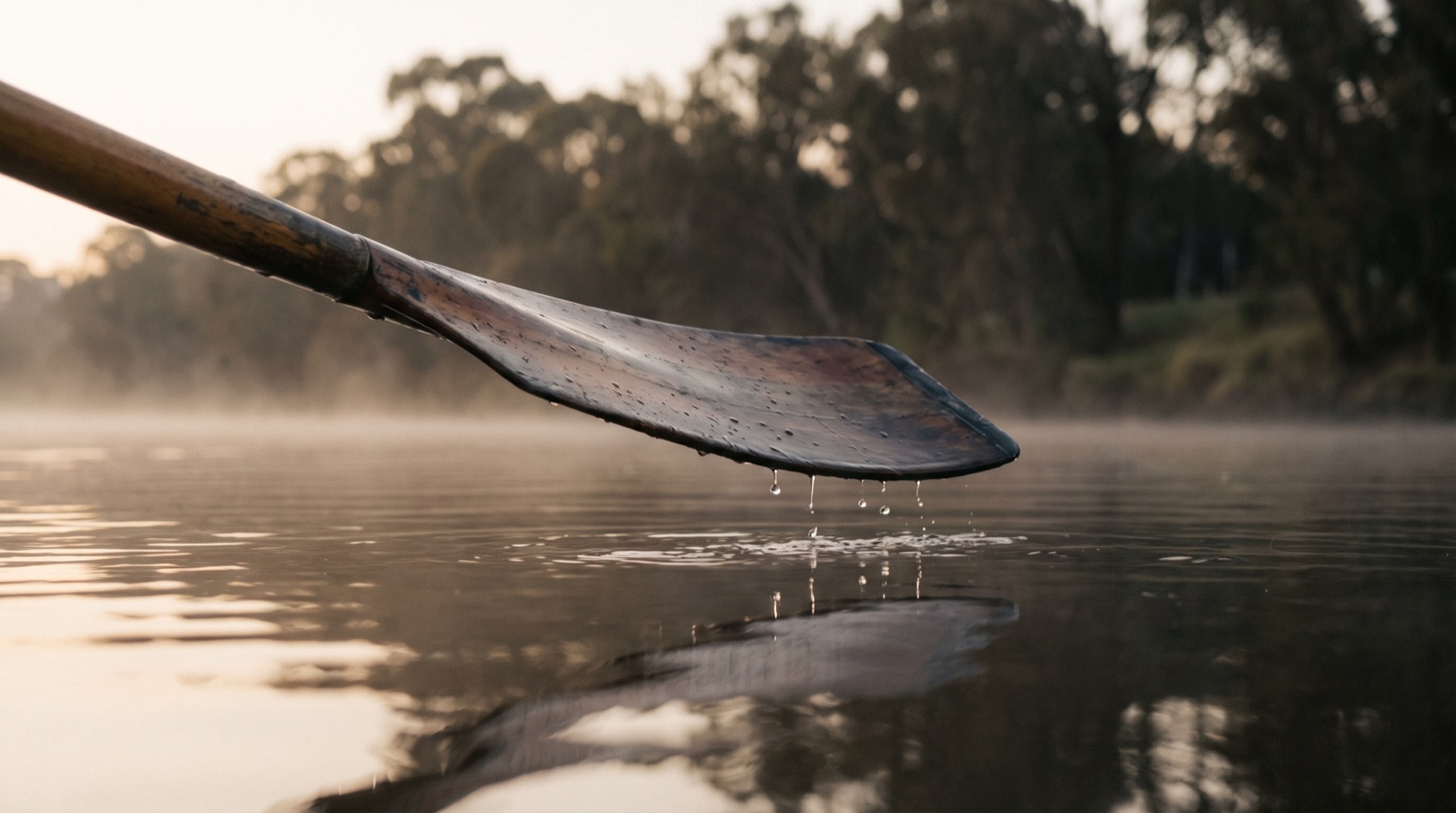Dawn on the river · Abbotsford