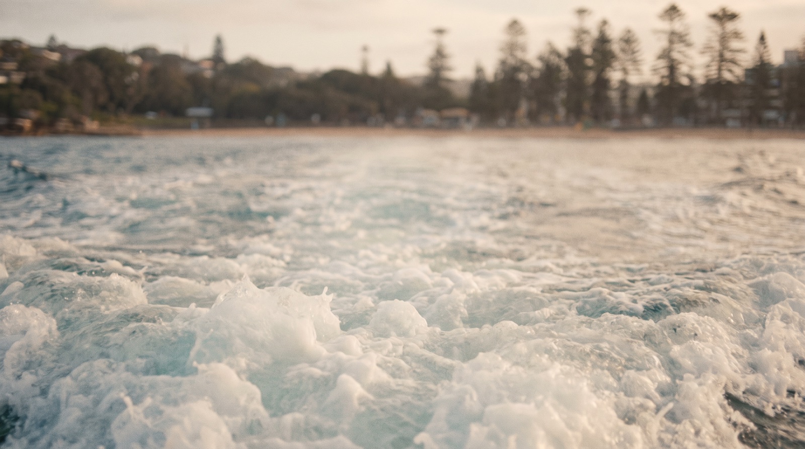 Ferry wake and pines · Manly