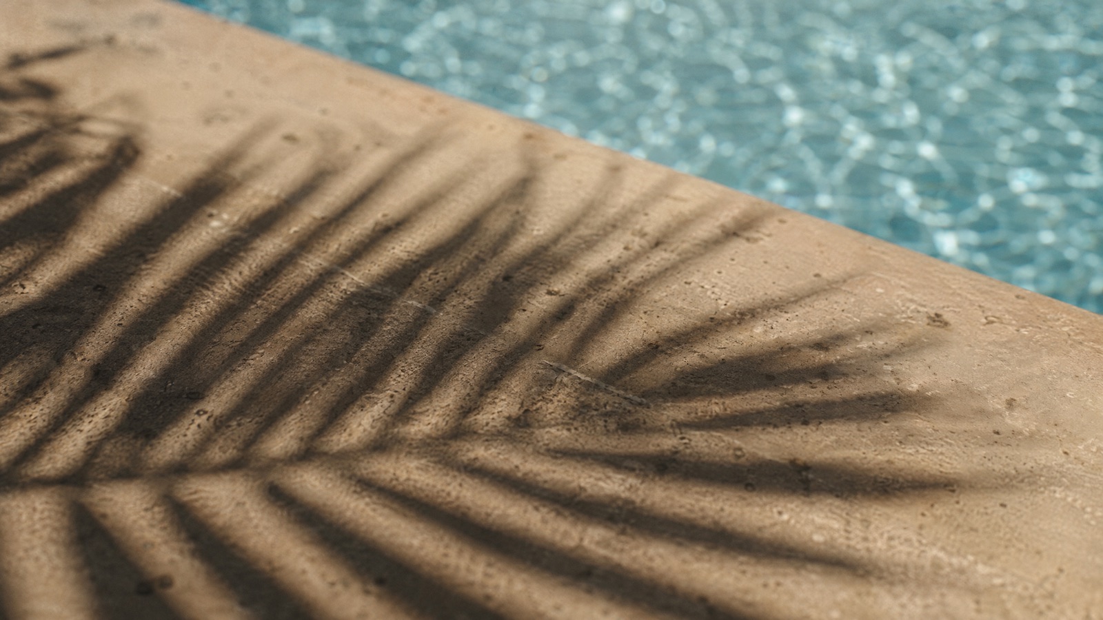 Palm shadow by the pool · Broadbeach