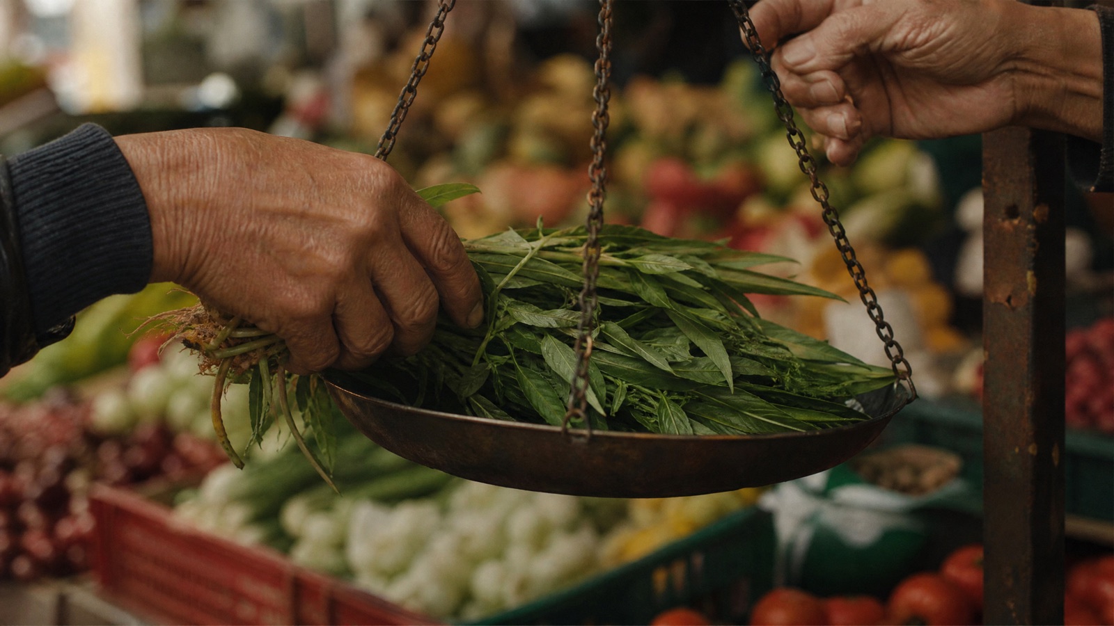 Herbs on the scales · Footscray